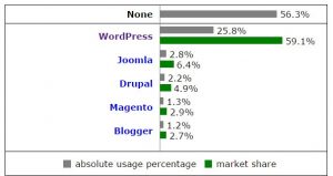 بهترین cms برای سئو