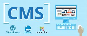 بهترین cms برای سئو
